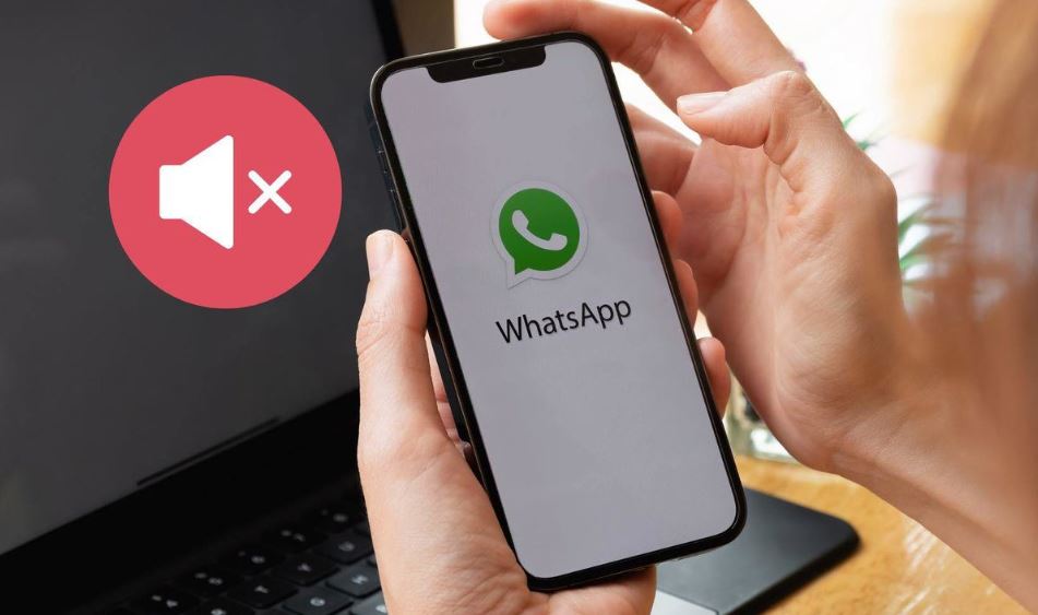 Whatsapp Ses Gitmiyor