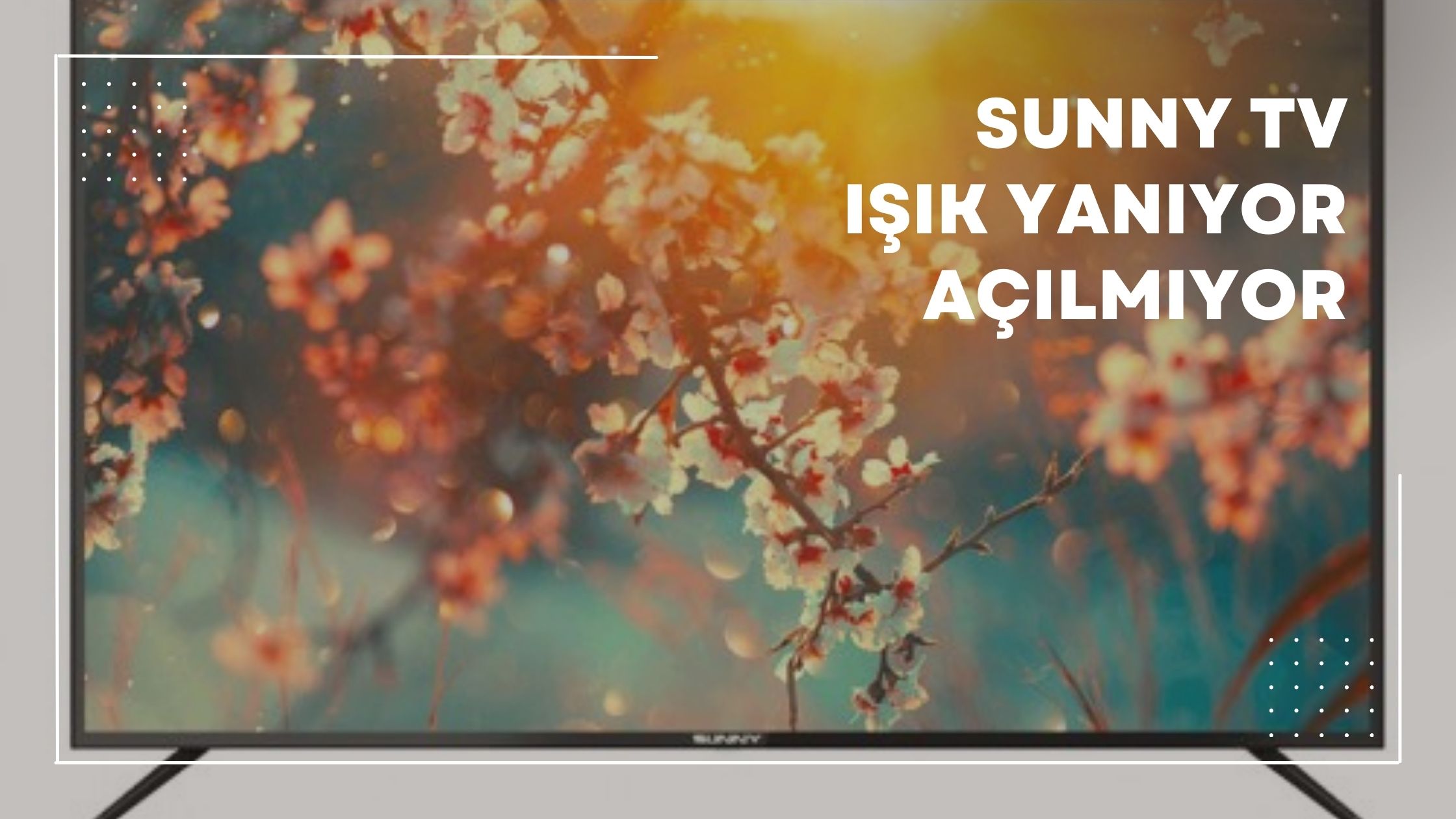 Sunny Tv Işık Yanıyor Açılmıyor