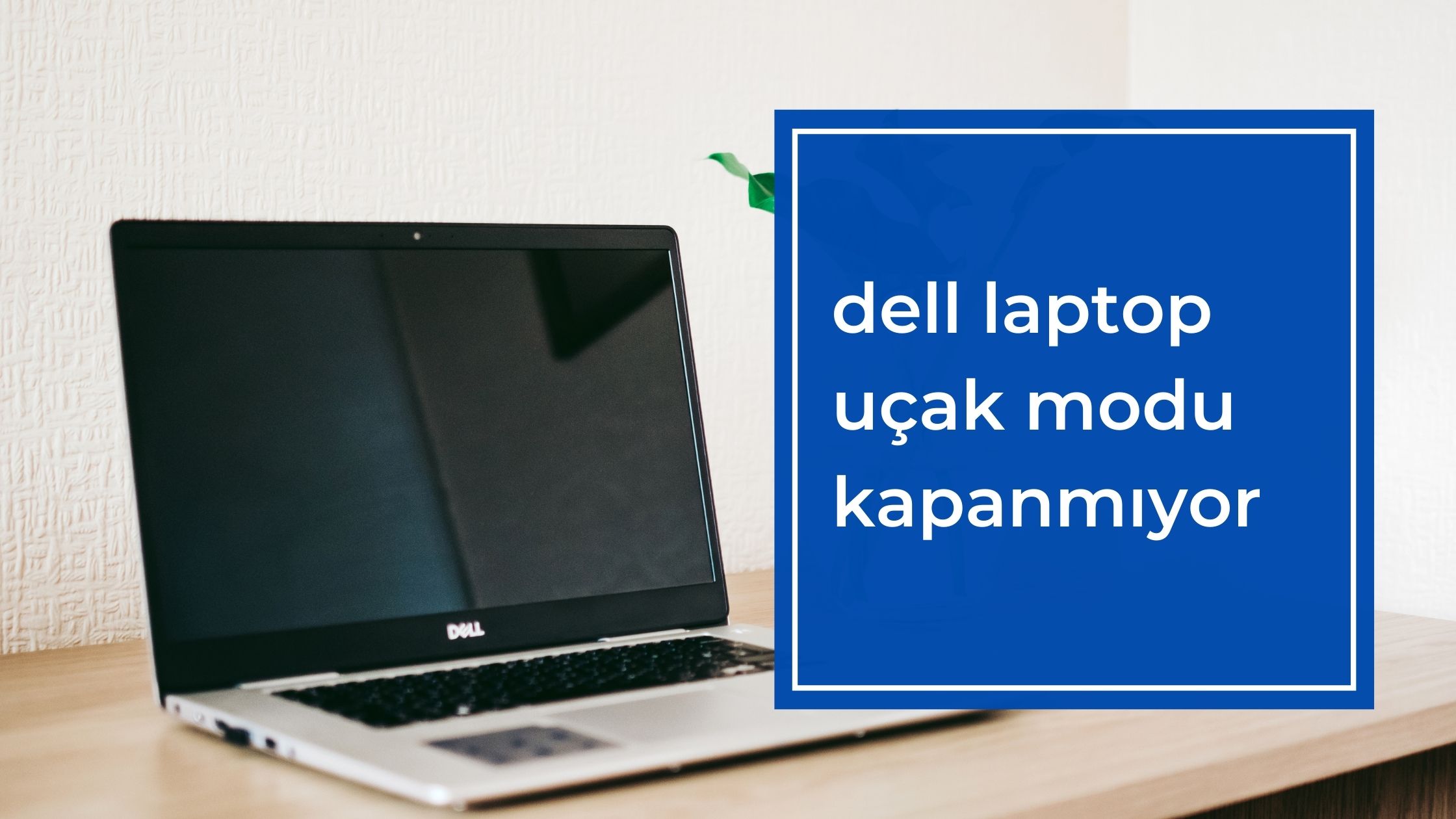Dell Laptop Uçak Modu Kapanmıyor