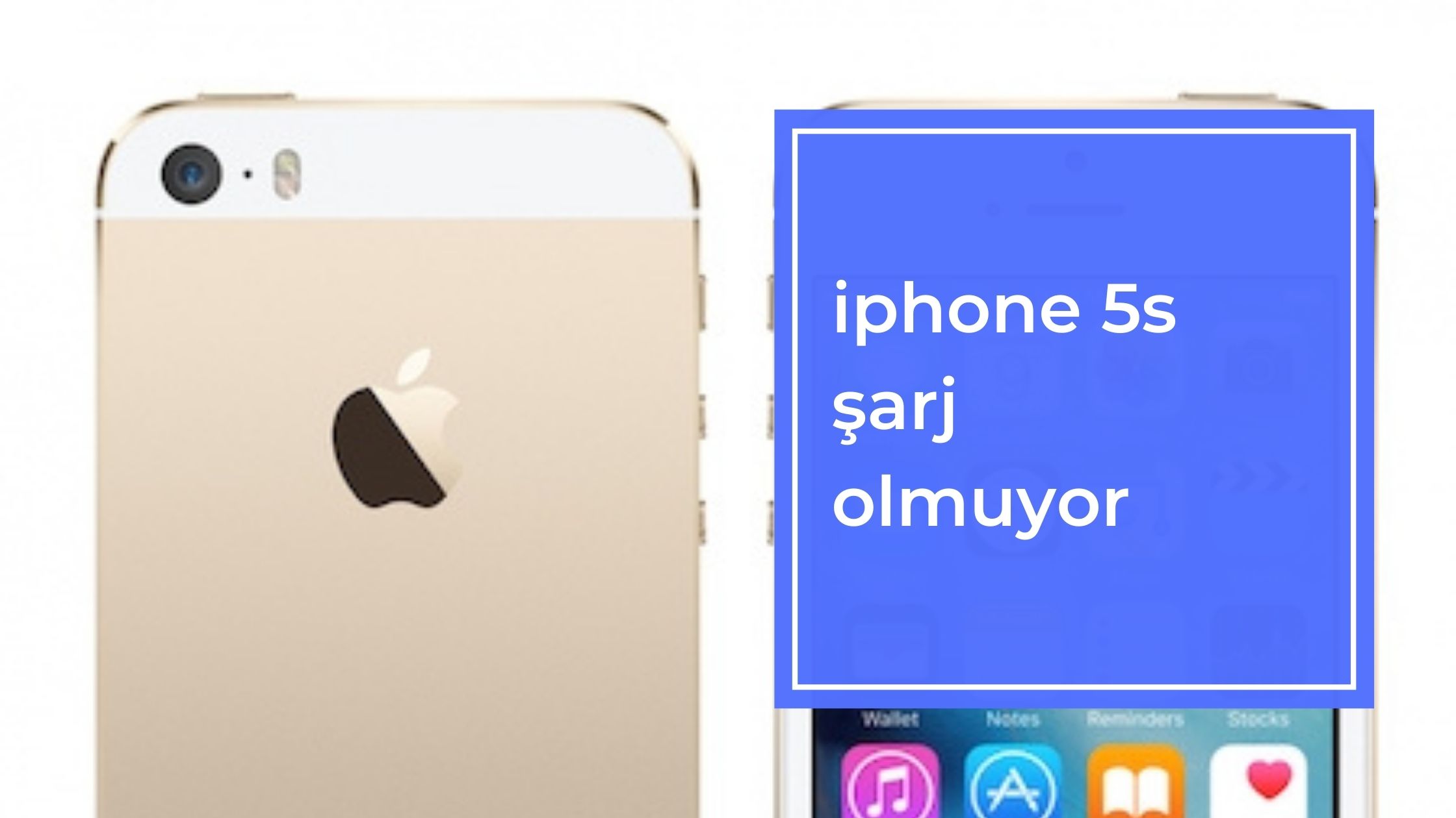 iPhone 5s Şarj Olmuyor