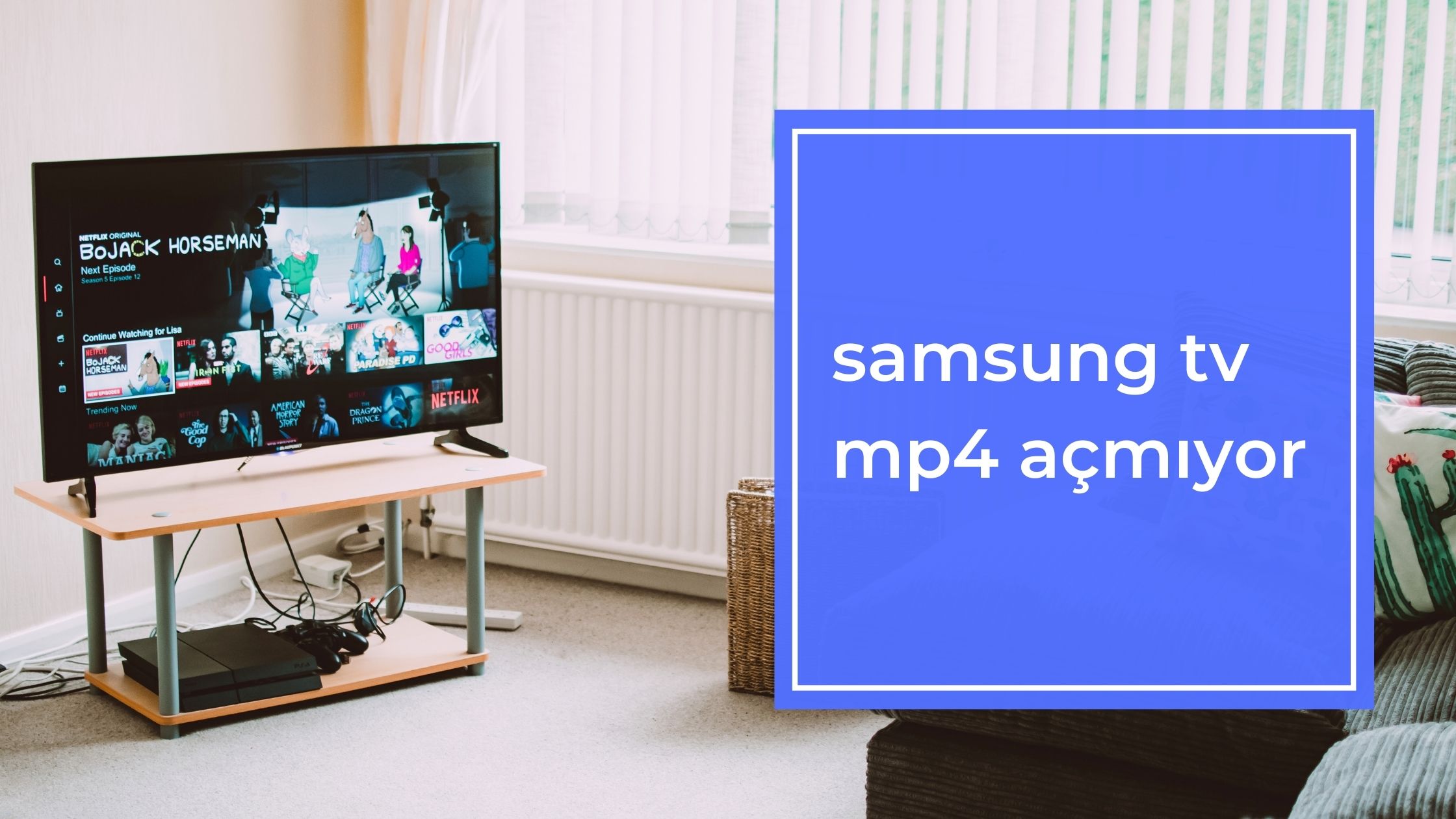 Samsung Tv Mp4 Açmıyor