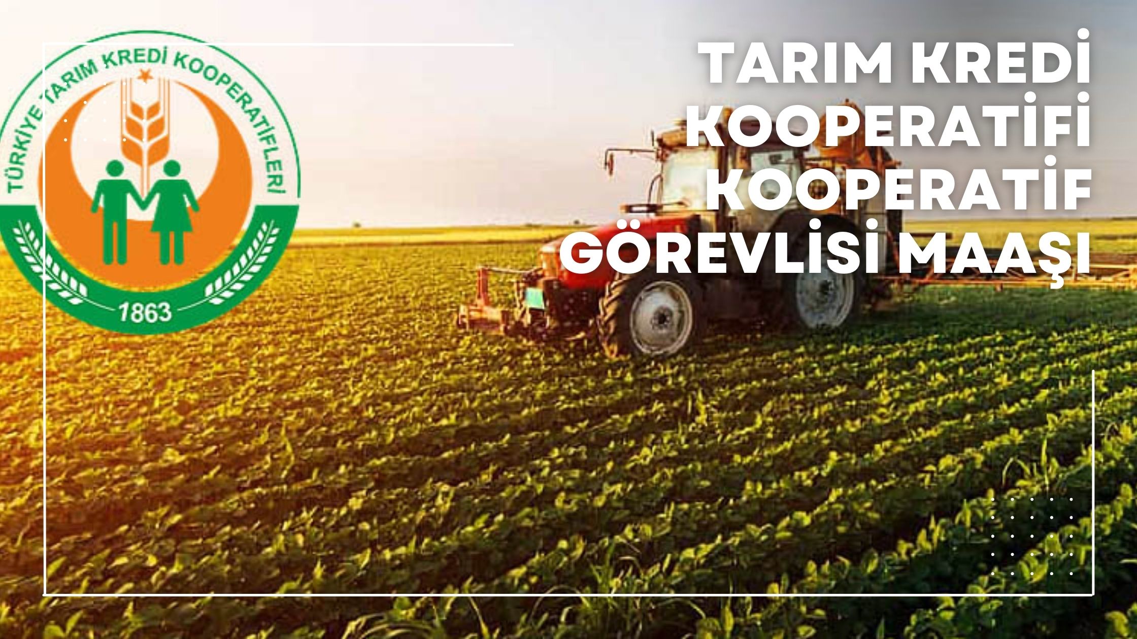 Tarım Kredi Kooperatifi Görevlisi Maaşı