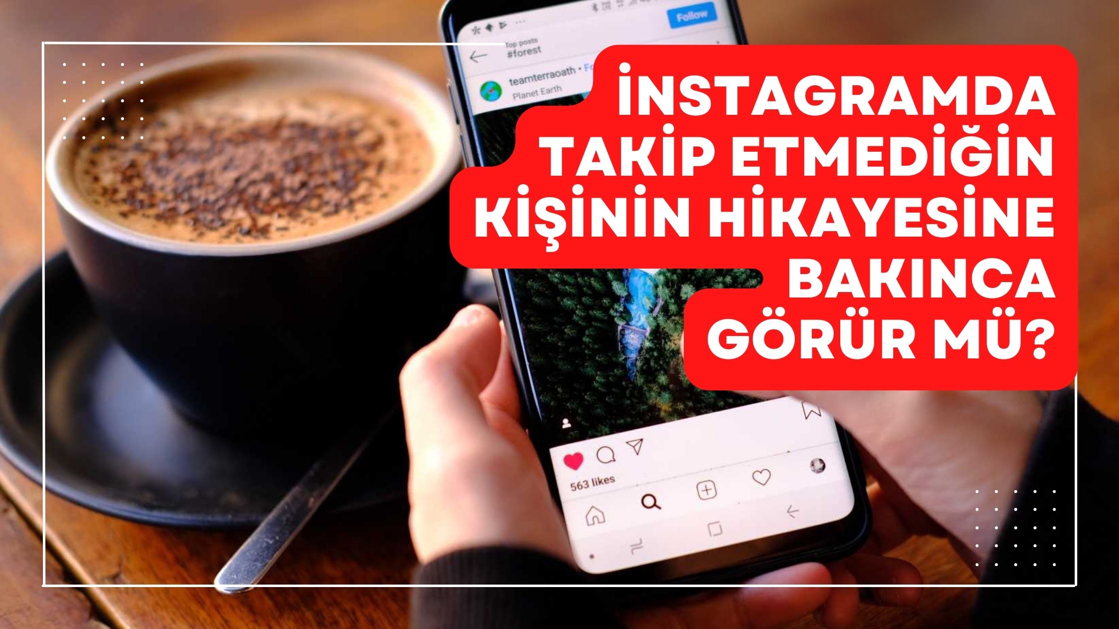 İnstagramda Takip Etmediğin Kişinin Hikayesine Bakınca Görür mü?