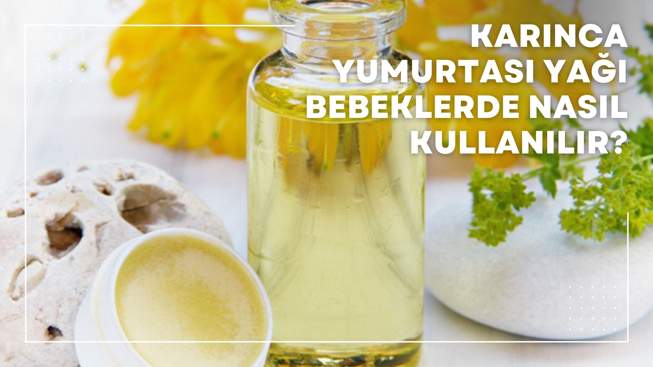 Karınca Yumurtası Yağı Bebeklerde Nasıl Kullanılır?