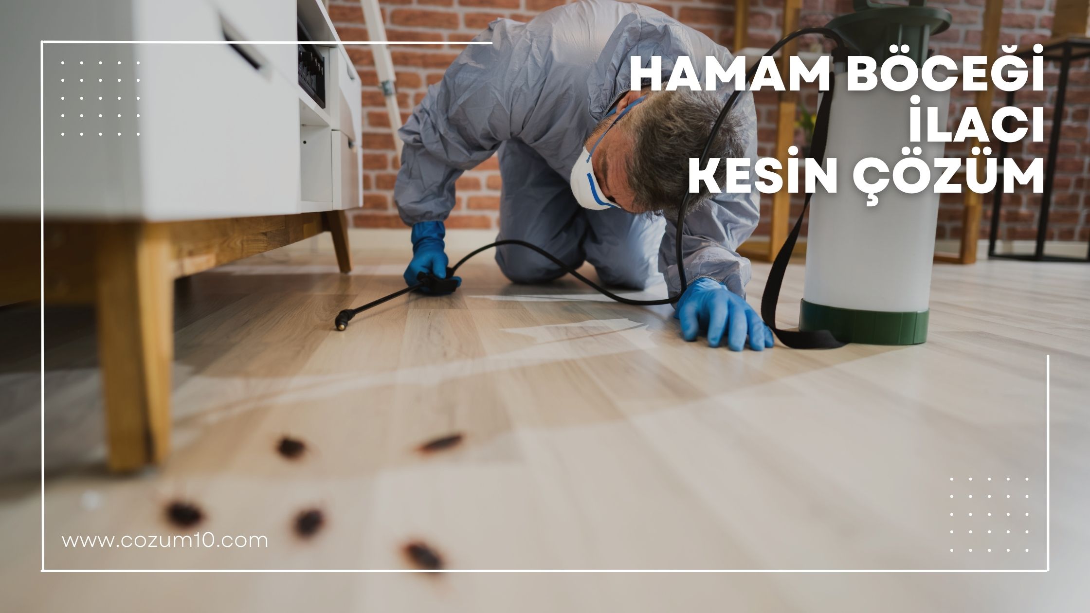 Hamam Böceği İlacı Kesin Çözüm