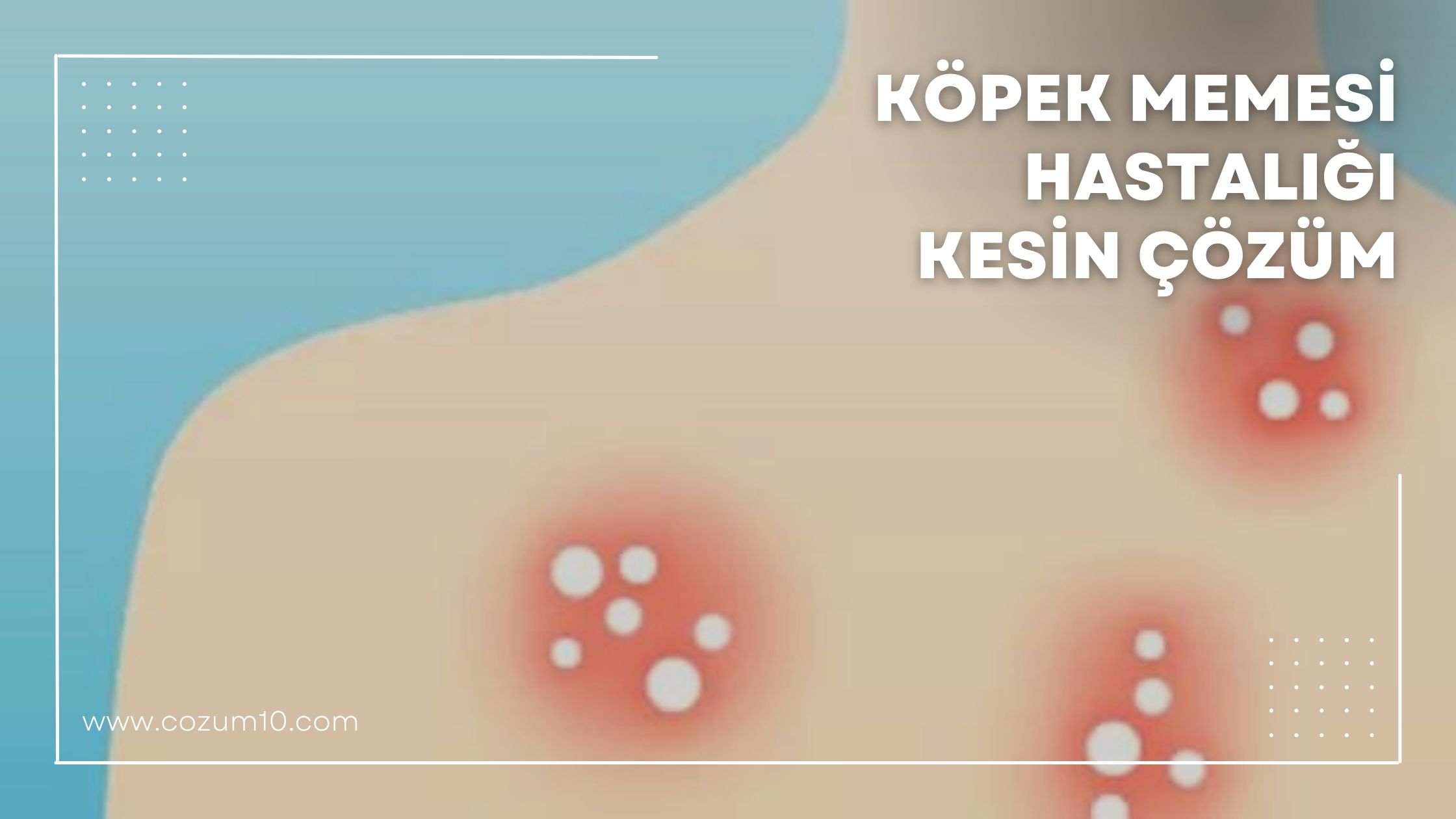 Köpek Memesi Hastalığı Kesin Çözüm