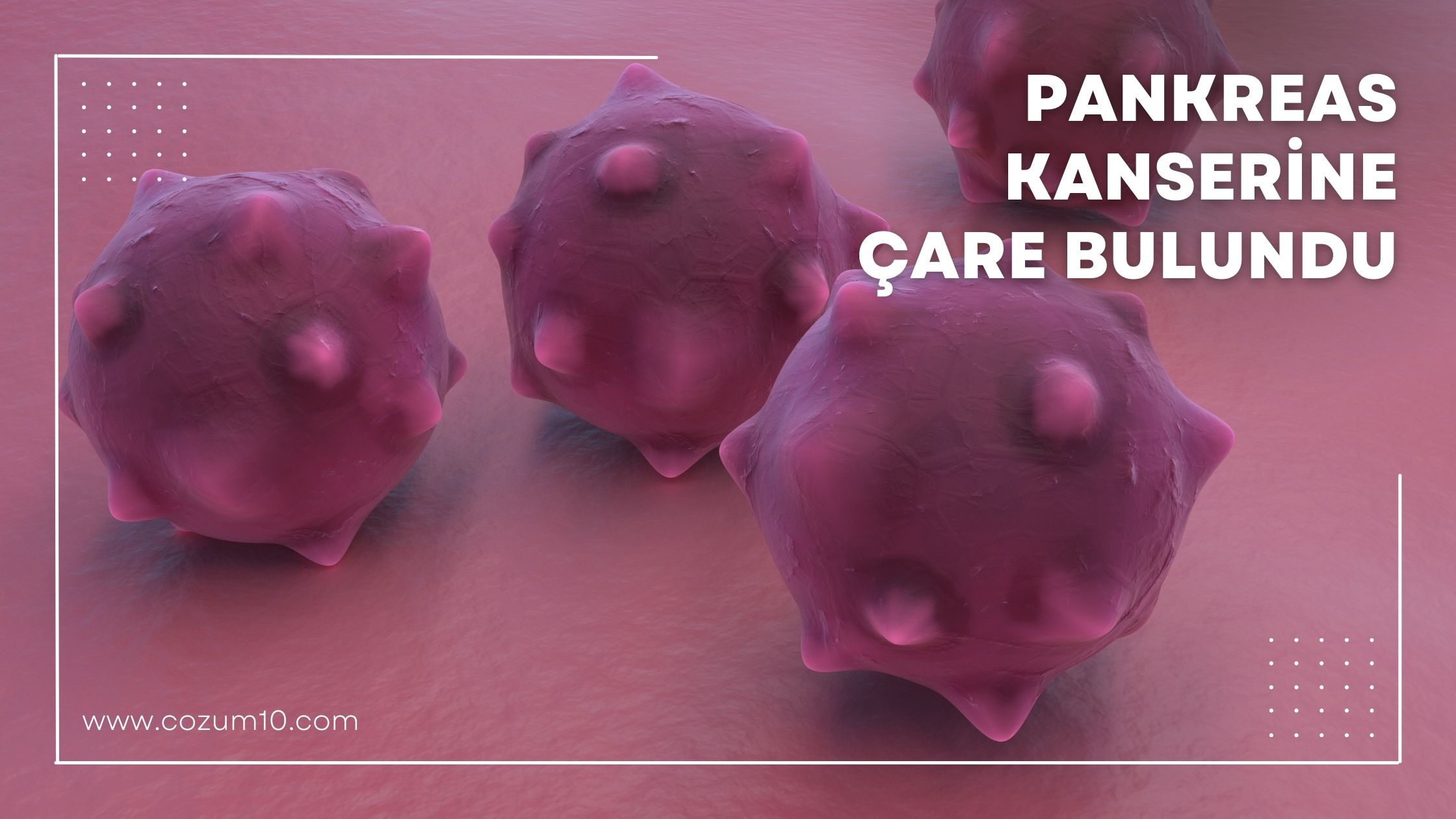 Pankreas Kanserine Çare Bulundu