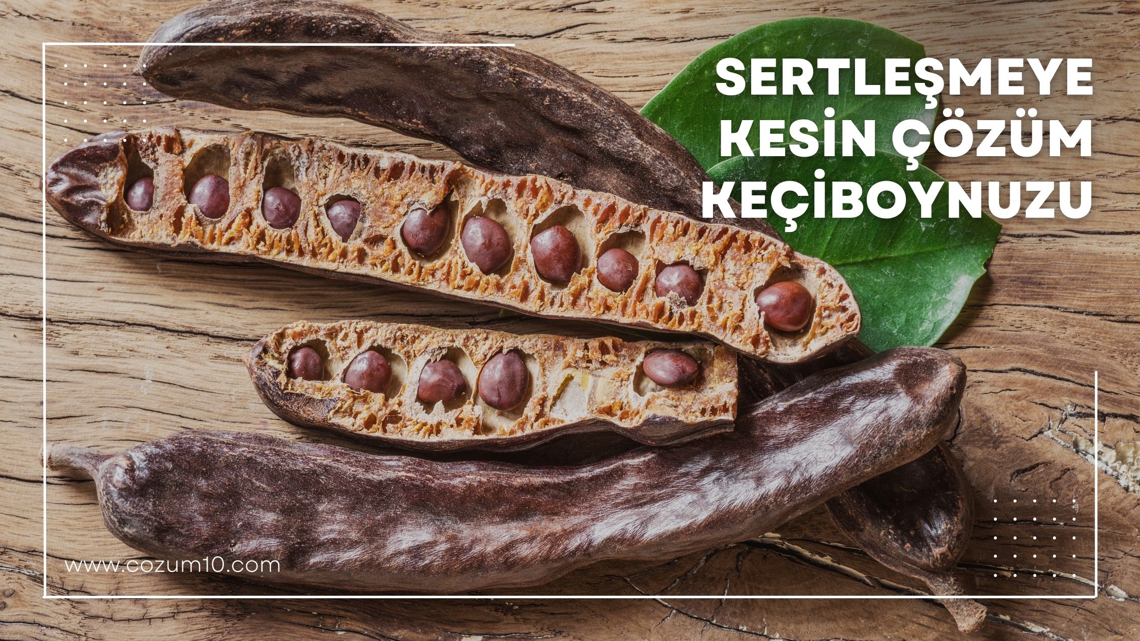 Sertleşmeye Kesin Çözüm Keçiboynuzu