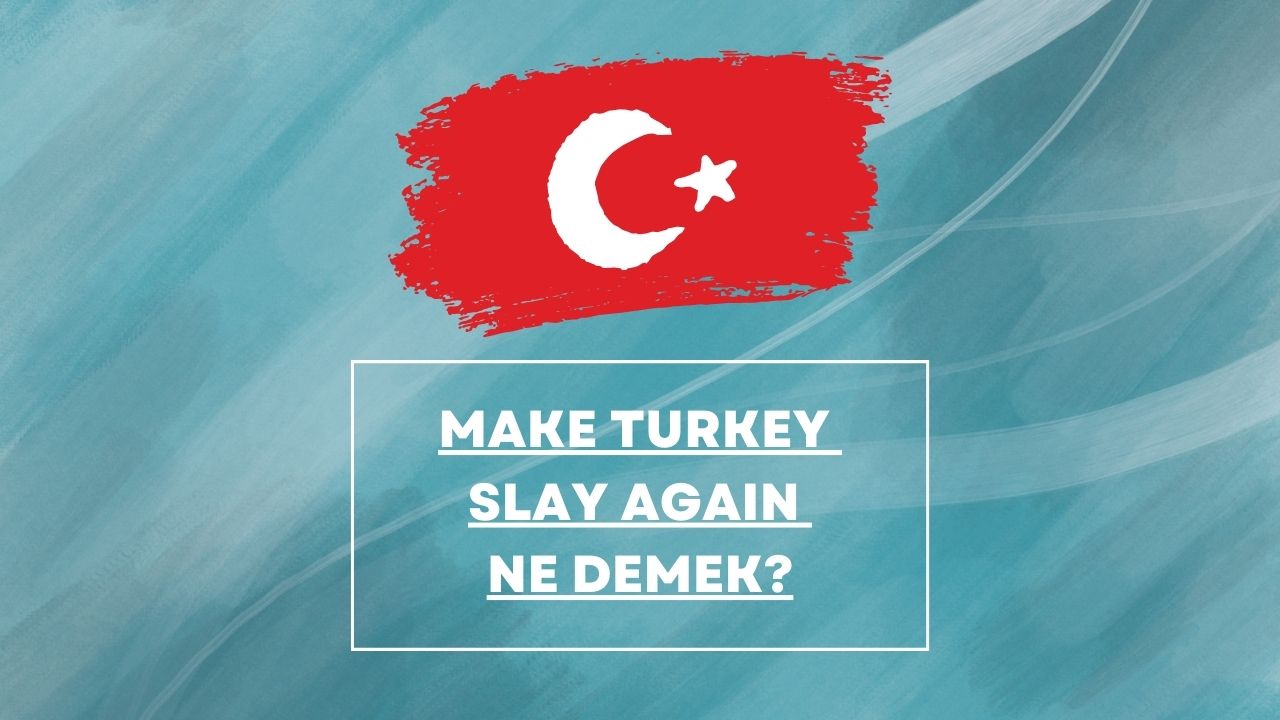 Make Turkey Slay Again Ne Demek