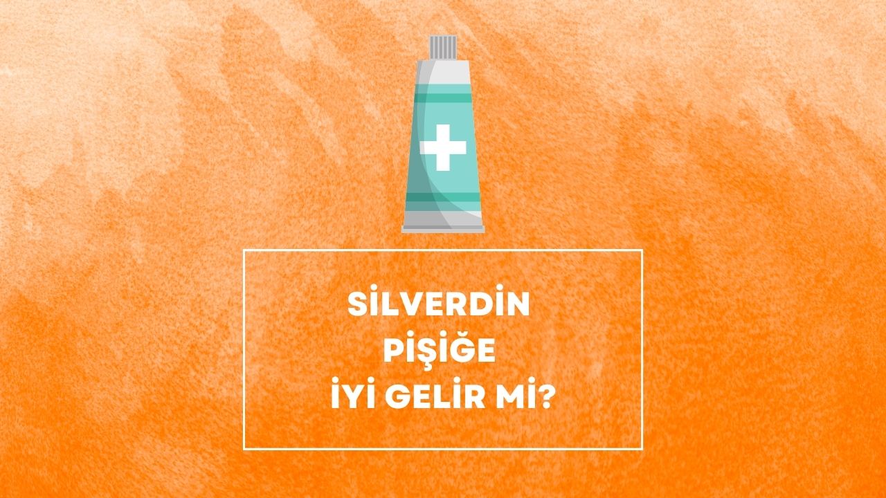 Silverdin Krem Pişiğe İyi Gelir mi
