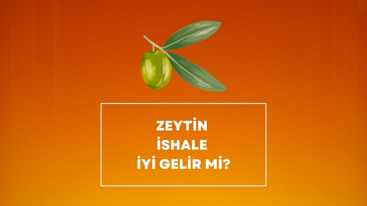 Zeytin İshale İyi Gelir mi