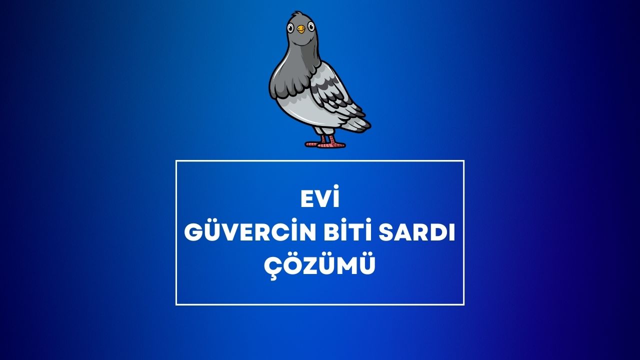 Evi Güvercin Biti Sardı Çözümü
