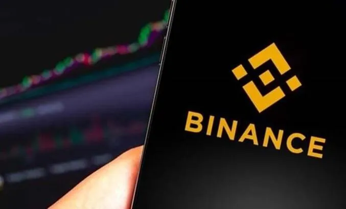 Binance Yanlış Veri Türü Hatası Nedir