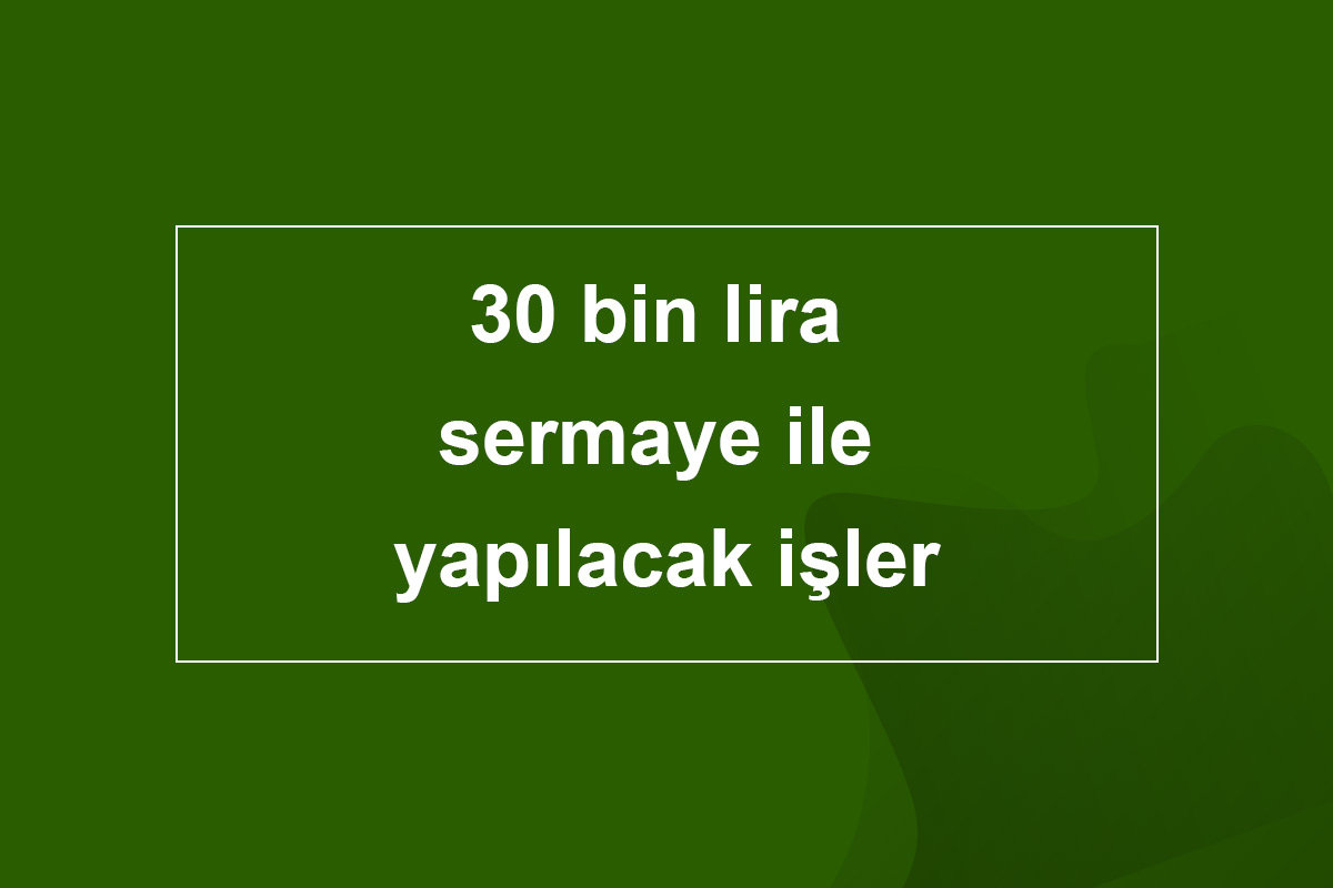 30 Bin Lira Sermaye ile Yapılacak İşler