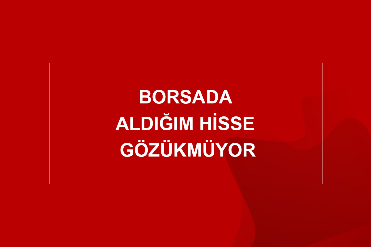 Borsada Aldığım Hisse Gözükmüyor