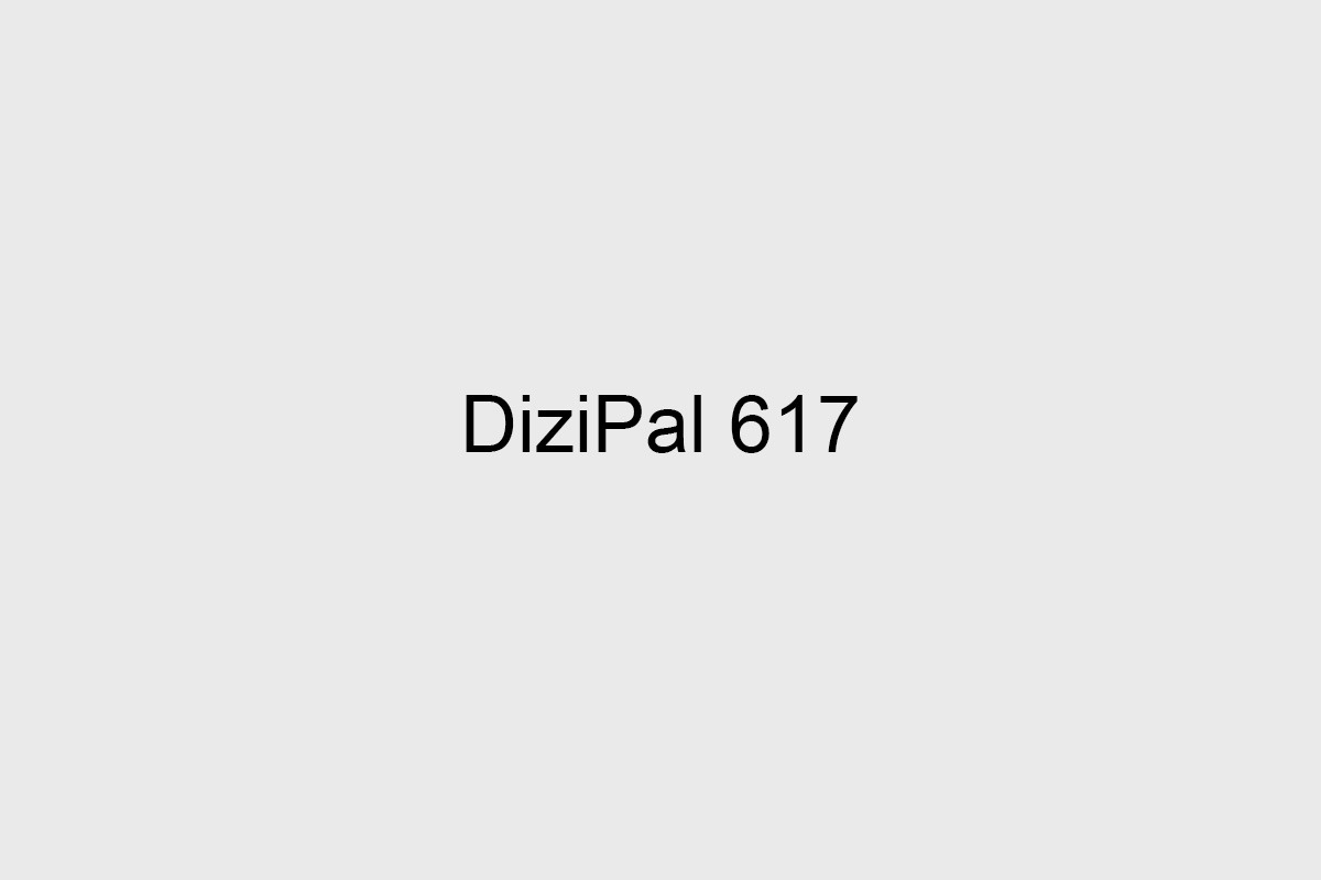 DiziPal 617