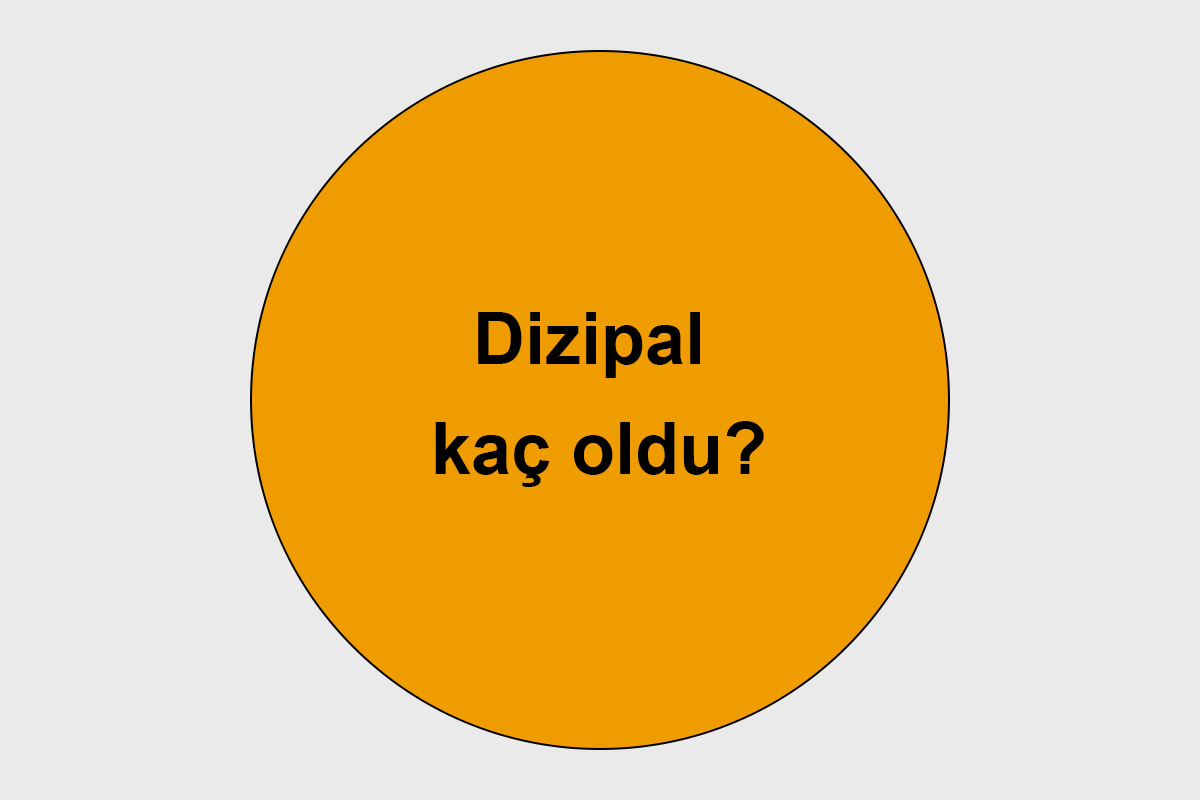 Dizipal kaç oldu