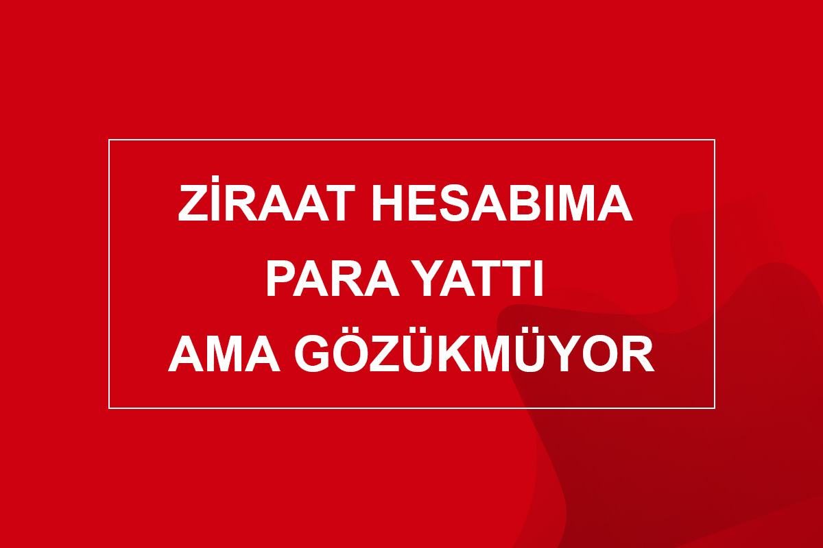 Ziraat Hesabıma Para Yattı Ama Gözükmüyor
