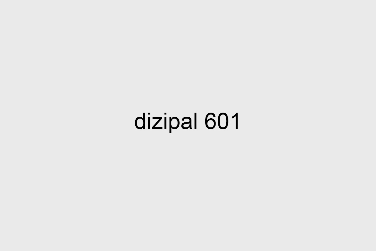 DiziPal 601