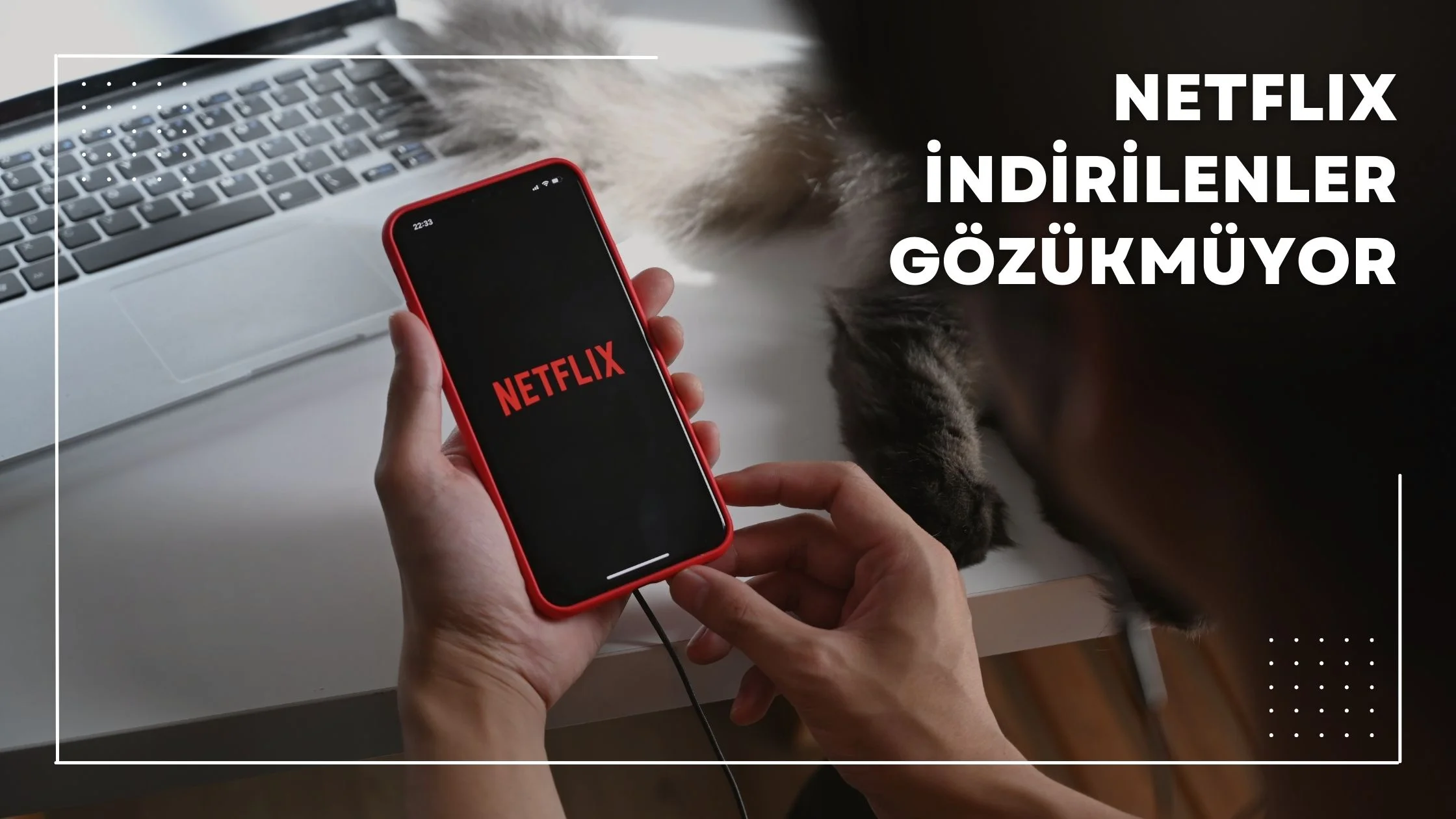 Netflix İndirilenler Gözükmüyor