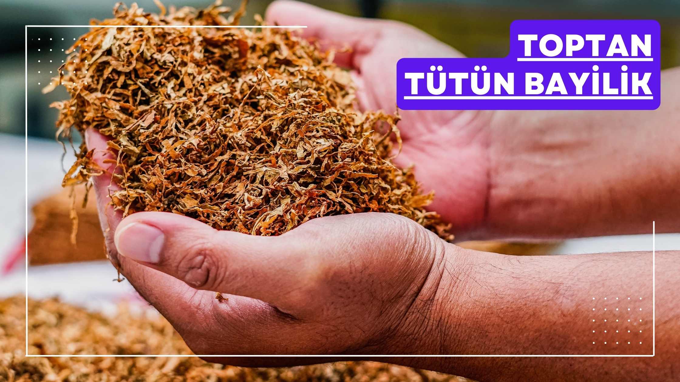 toptan tütün bayilik