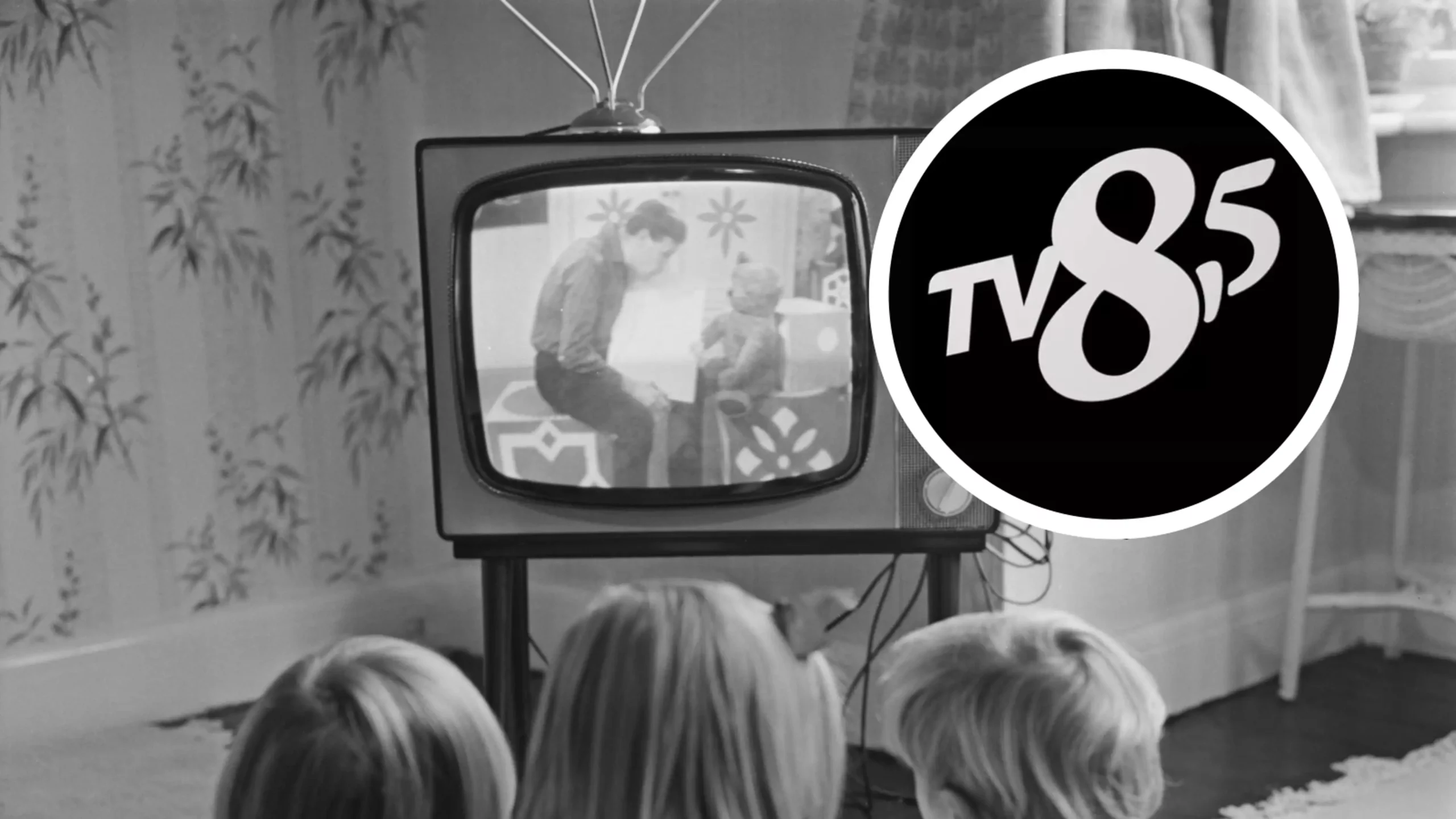 tv8,5 uyduda çıkmıyor
